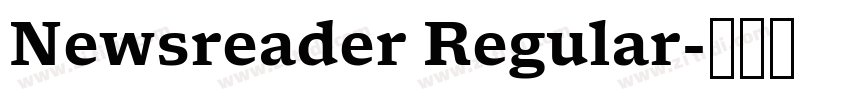 Newsreader Regular字体转换